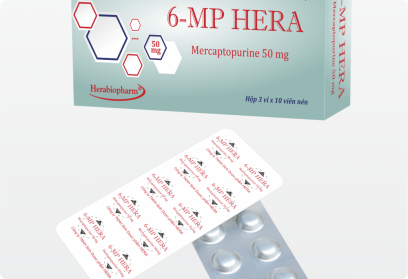 6-MP HERA 